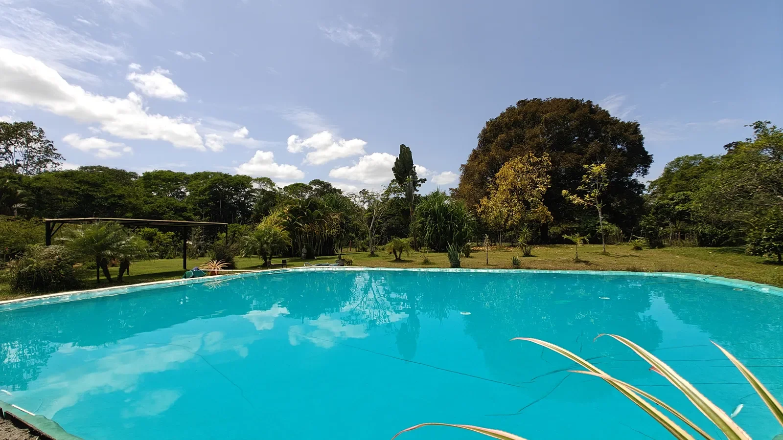 Food Production Estate San Miguel (24).webp