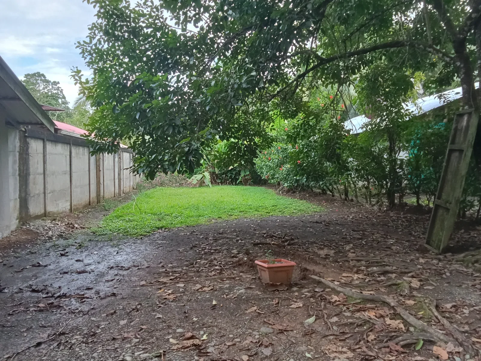 charming-home-with-stunning-outdoor-spaces (1).webp