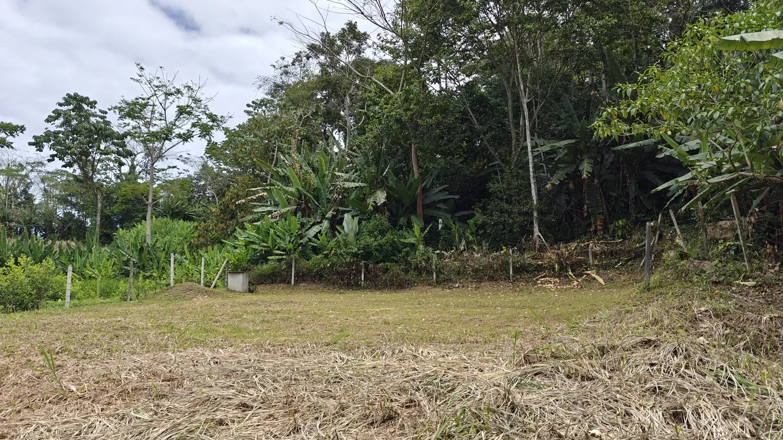 titled-lot-cahuita-national-park (3).webp