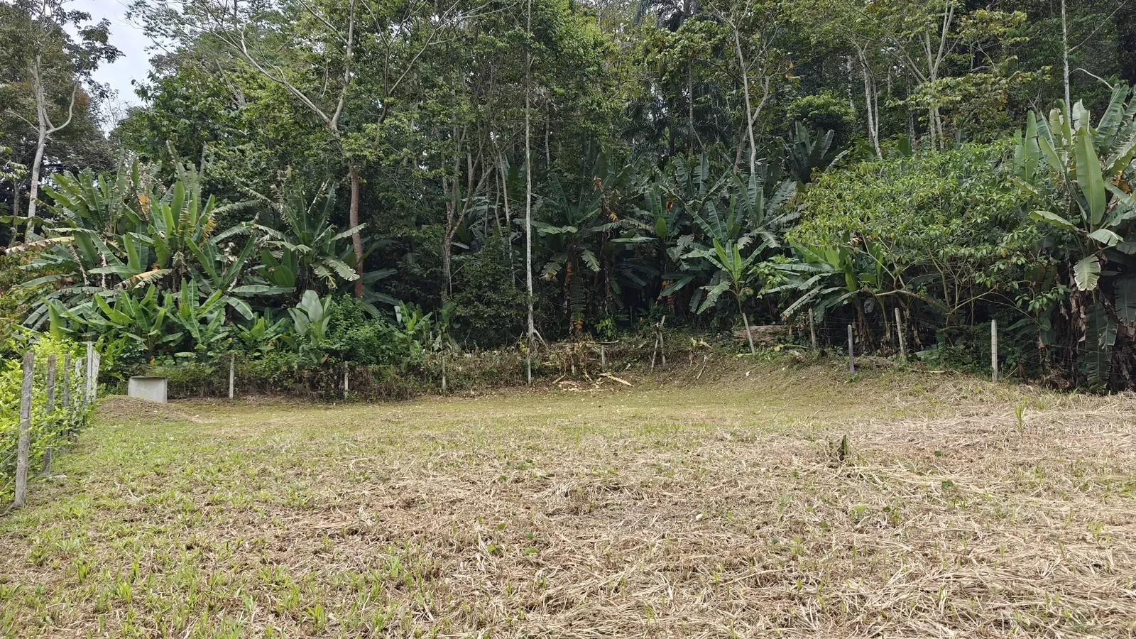 $47,500 - 500m² Titled Lot Near Cahuita National Park