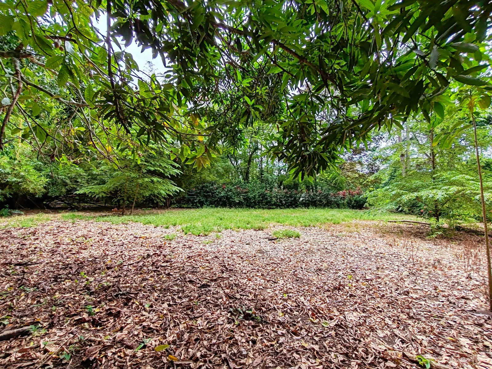 flat-lot-punta-riel-costa-rica (1).webp