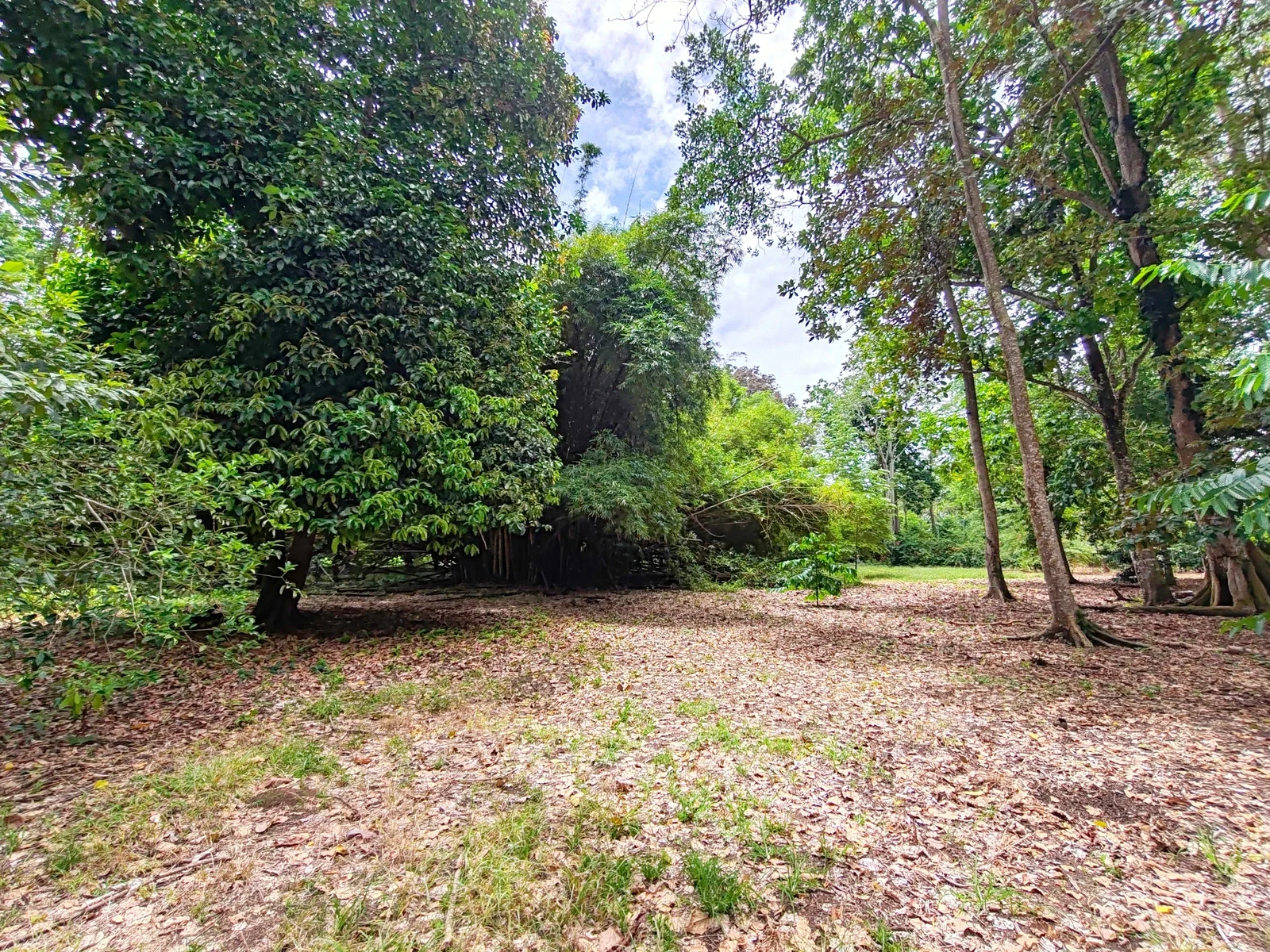 flat-lot-punta-riel-costa-rica (2).webp