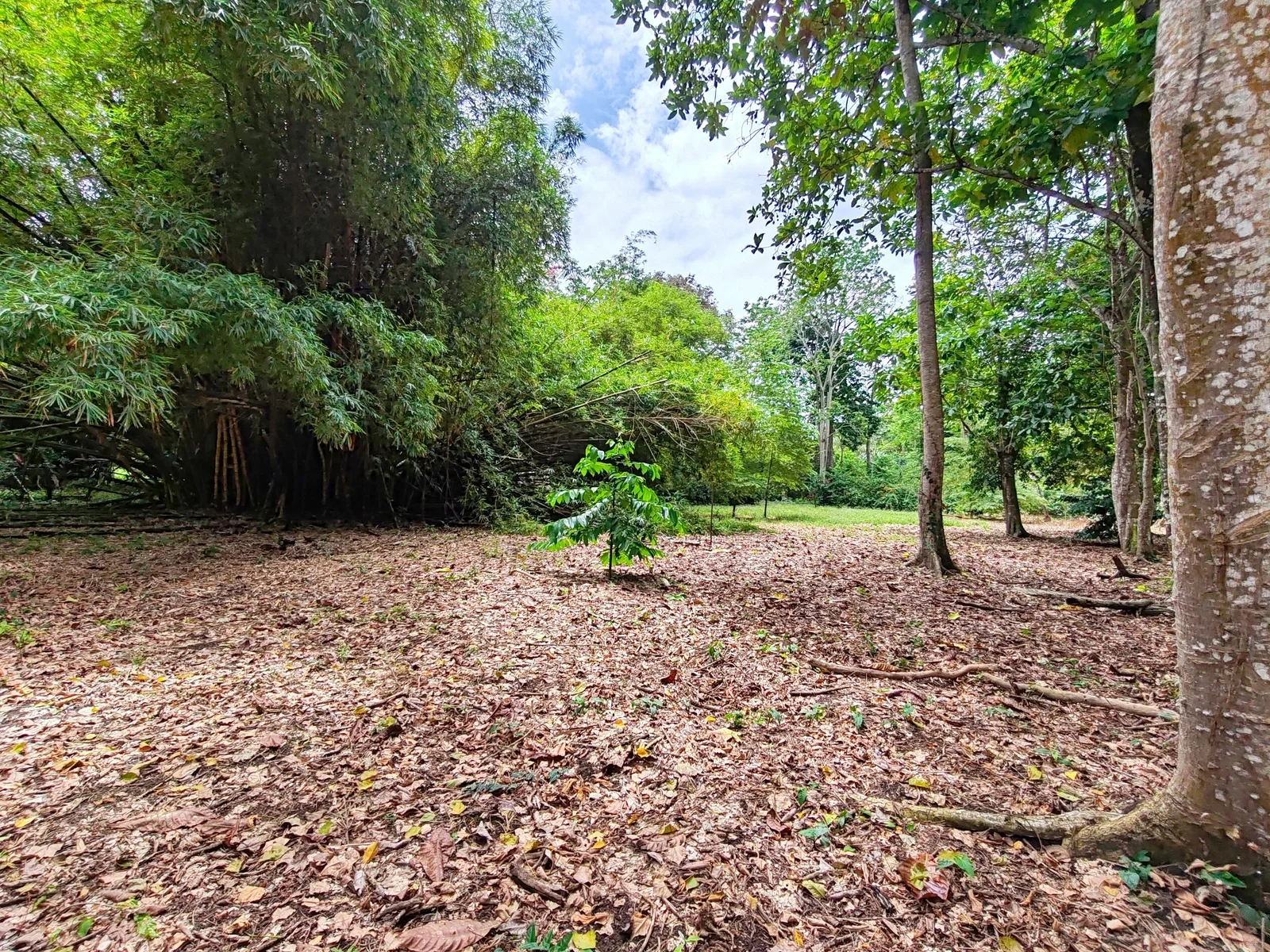 flat-lot-punta-riel-costa-rica (3).webp