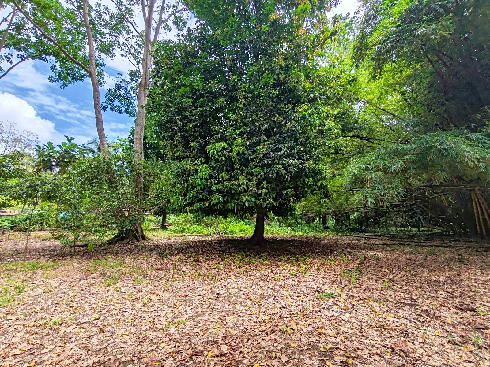 flat-lot-punta-riel-costa-rica (4).webp