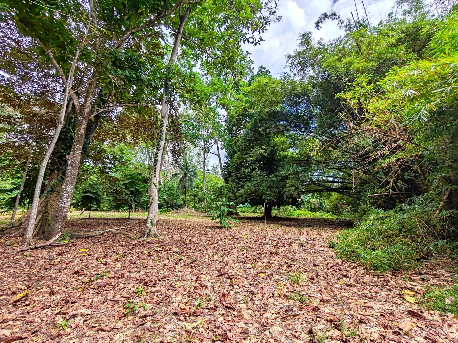 flat-lot-punta-riel-costa-rica (6).webp