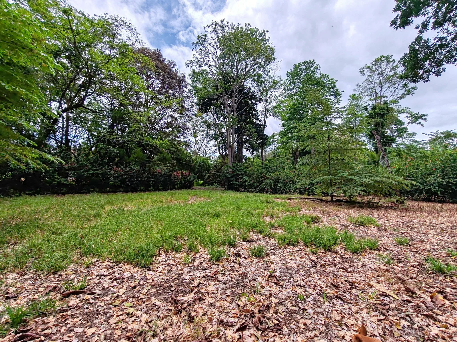 flat-lot-punta-riel-costa-rica (7).webp