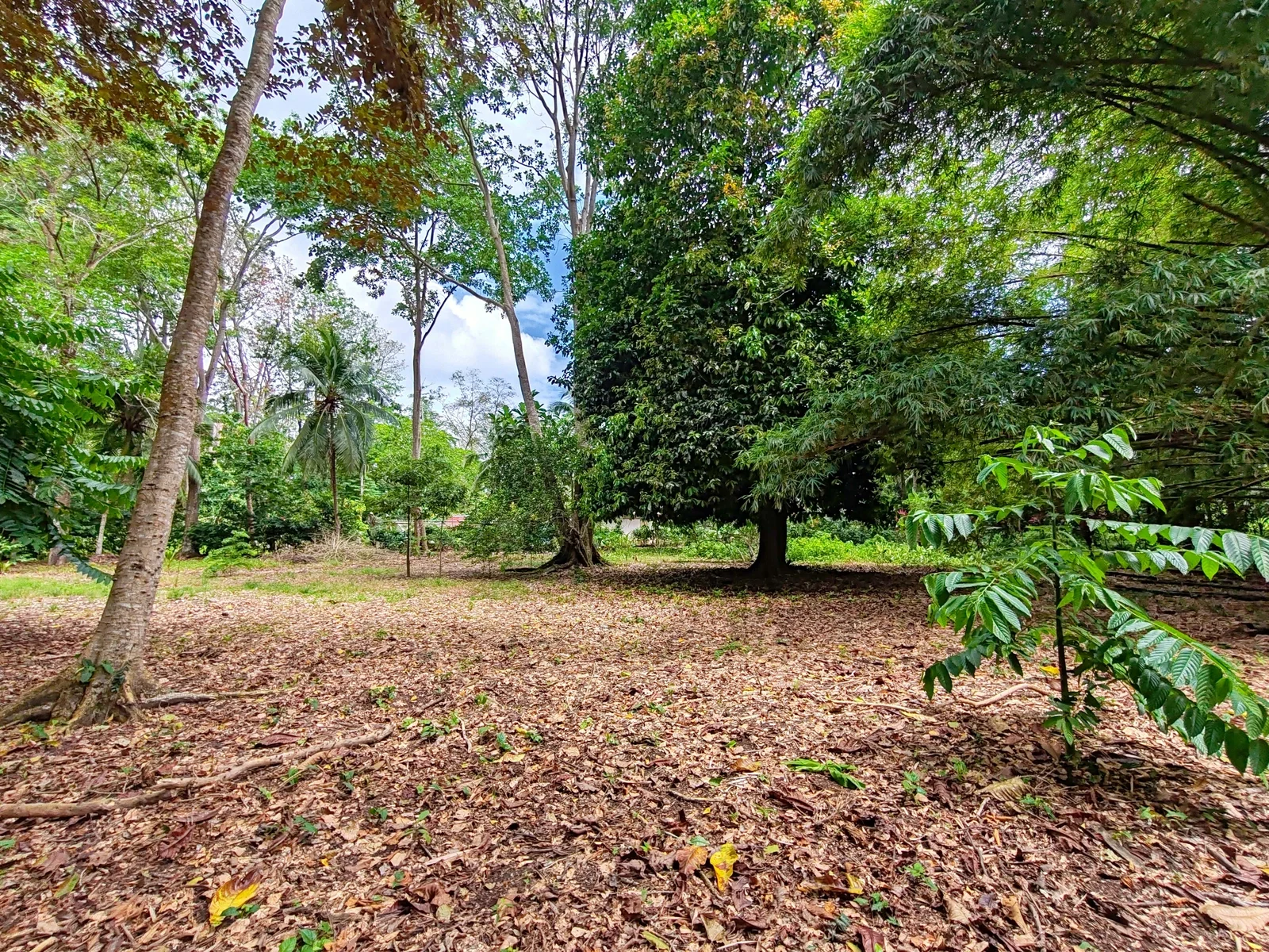 $120,000 - 2,000m² Flat Lot in Punta Riel Near Cahuita &amp; Puerto Viejo