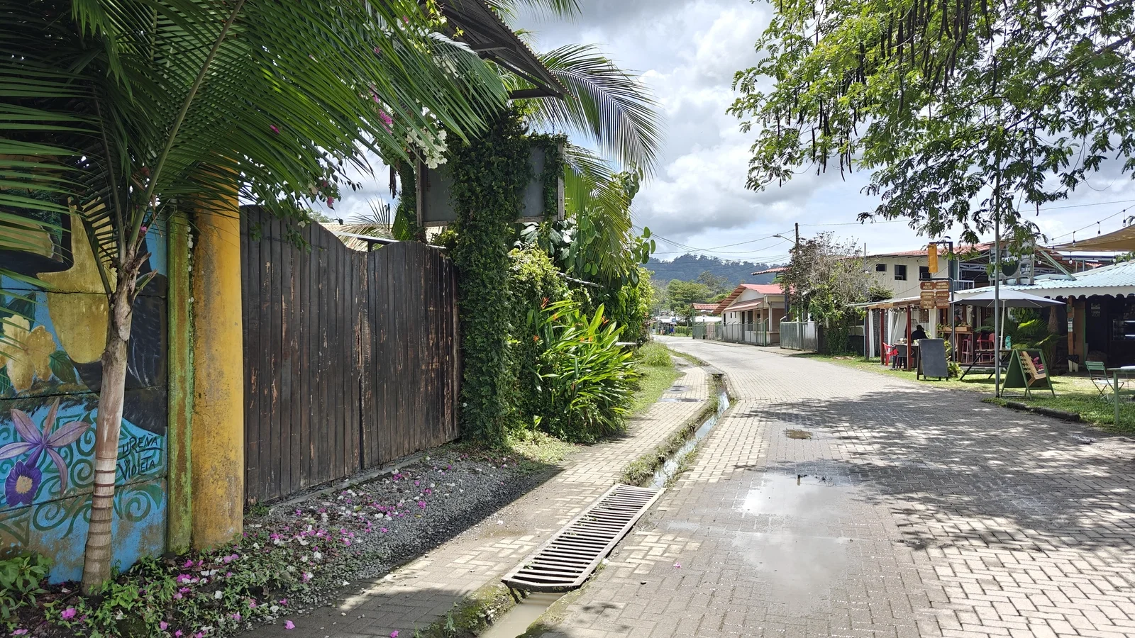 hotel-for-sale-cahuita-costa-rica (25).webp