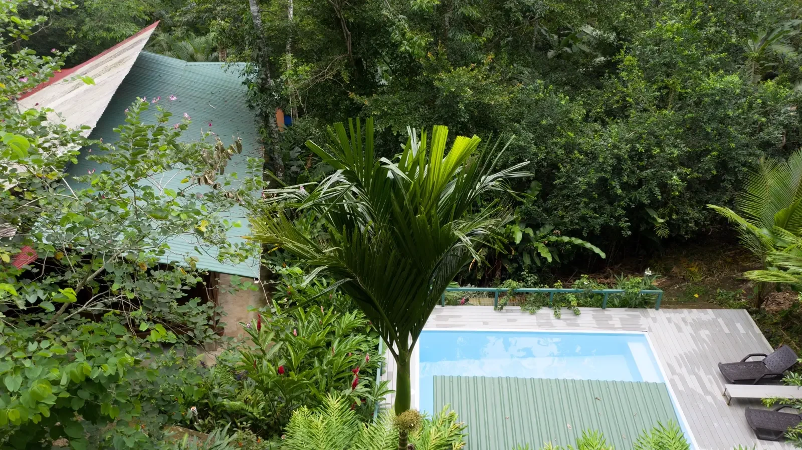 caribbean-homes-pool-gated-community (29).webp