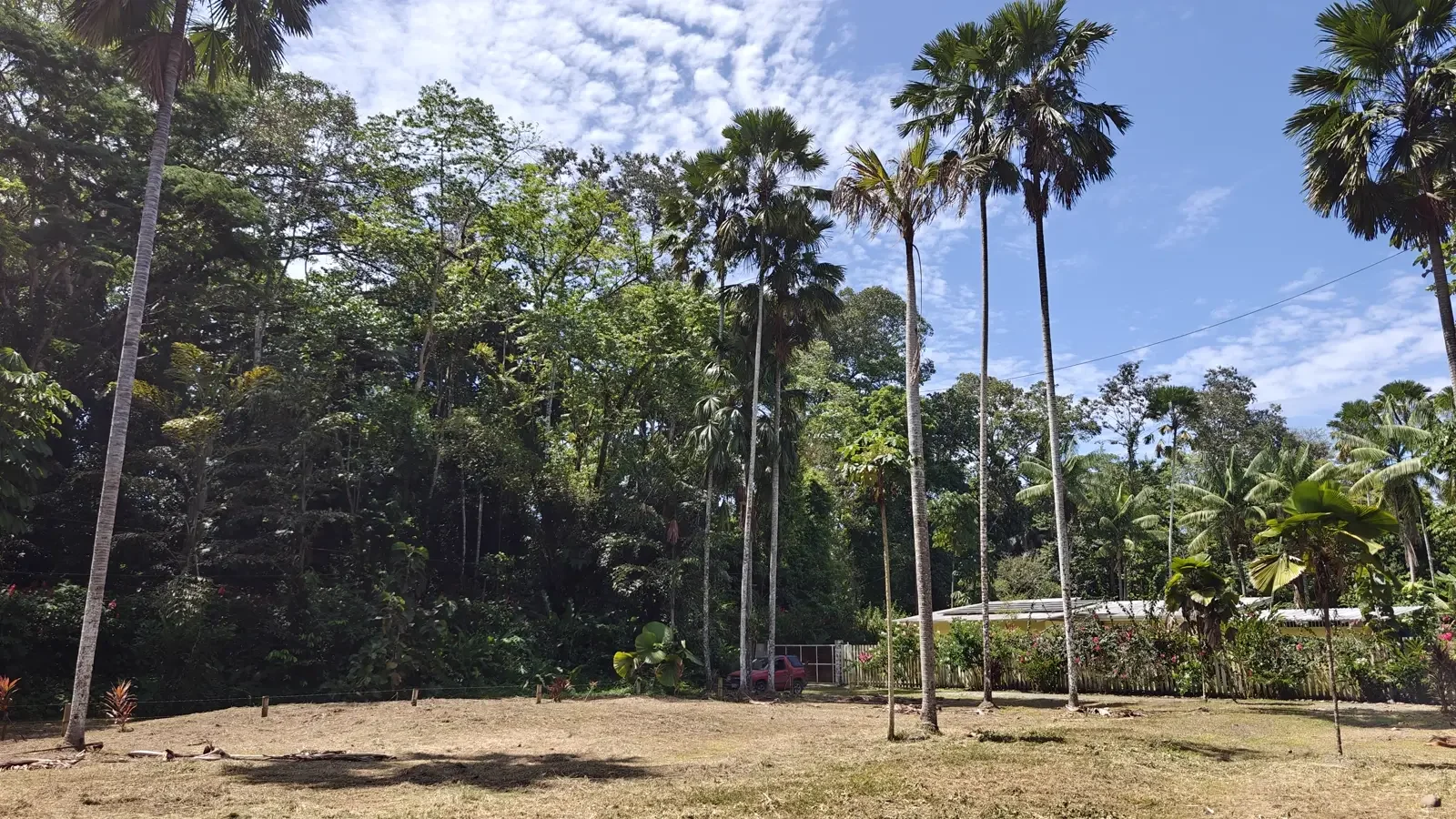 1547m-lot-in-cahuita (1).webp