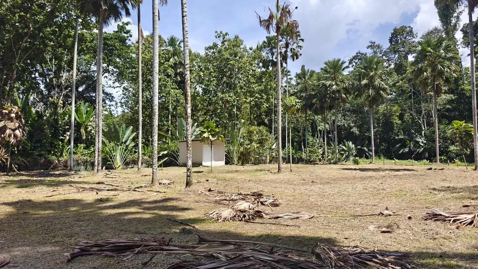 1547m-lot-in-cahuita (2).webp