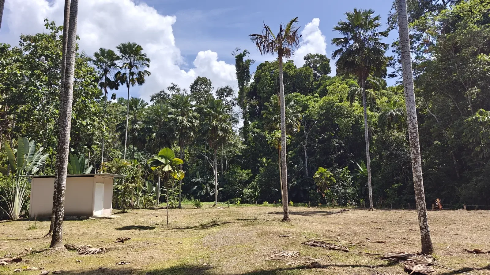 1547m-lot-in-cahuita (3).webp