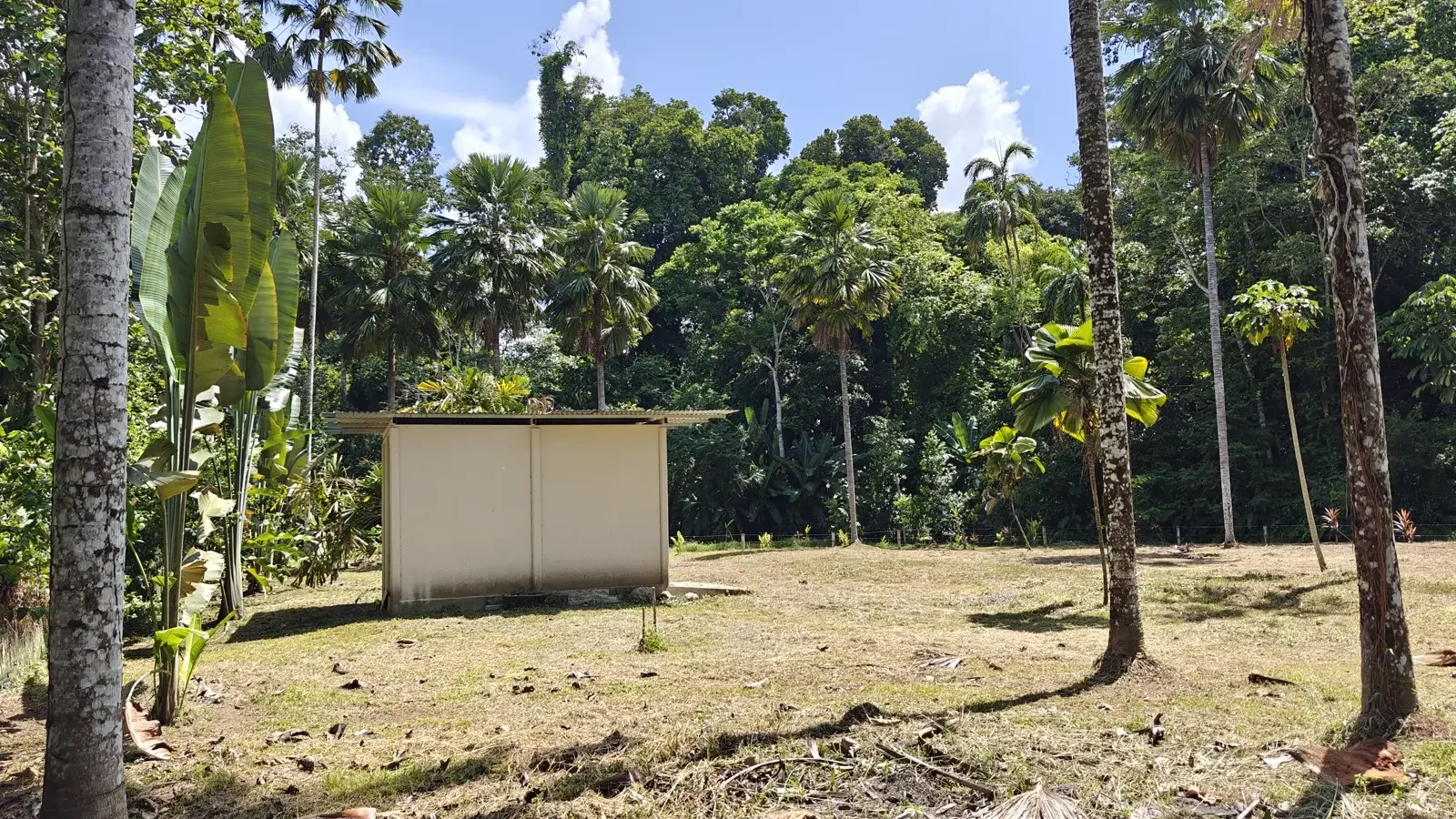 1547m-lot-in-cahuita (4).webp