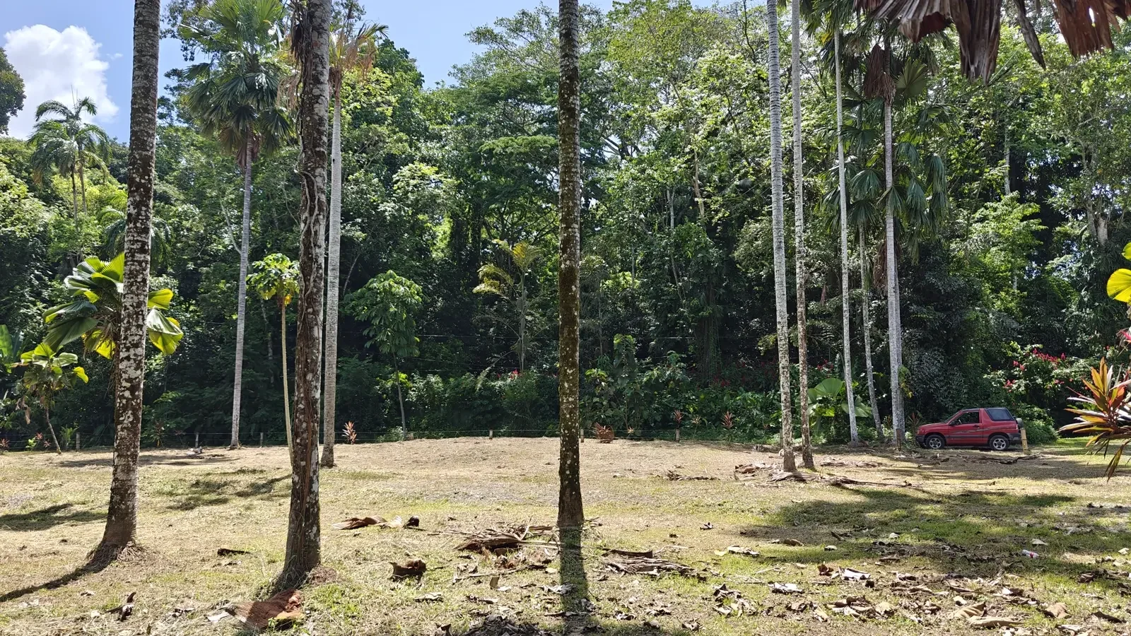 1547m-lot-in-cahuita (5).webp