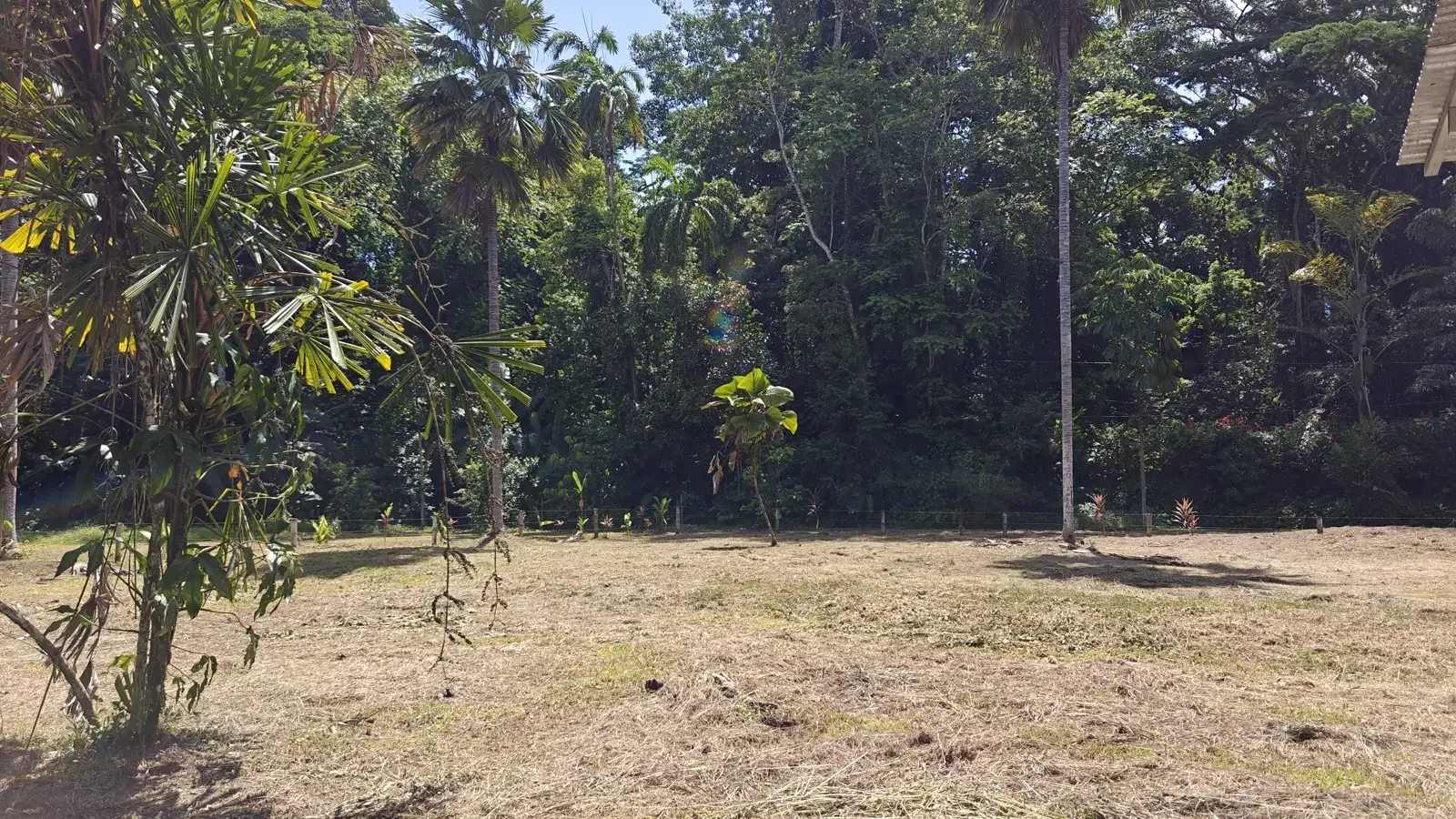 1547m-lot-in-cahuita (6).webp