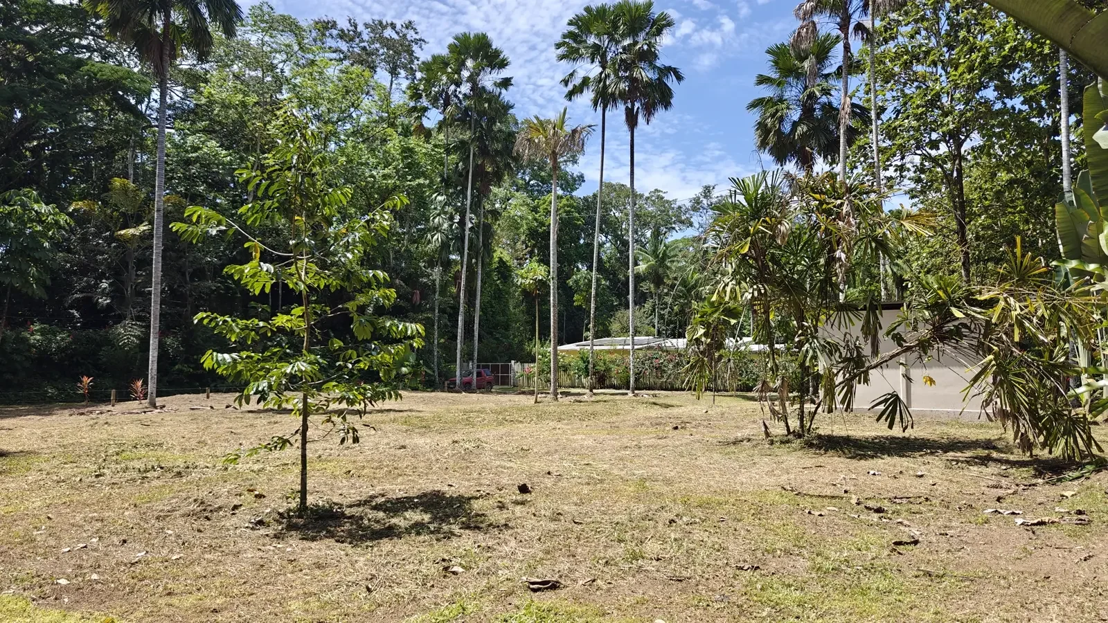 1547m-lot-in-cahuita (7).webp