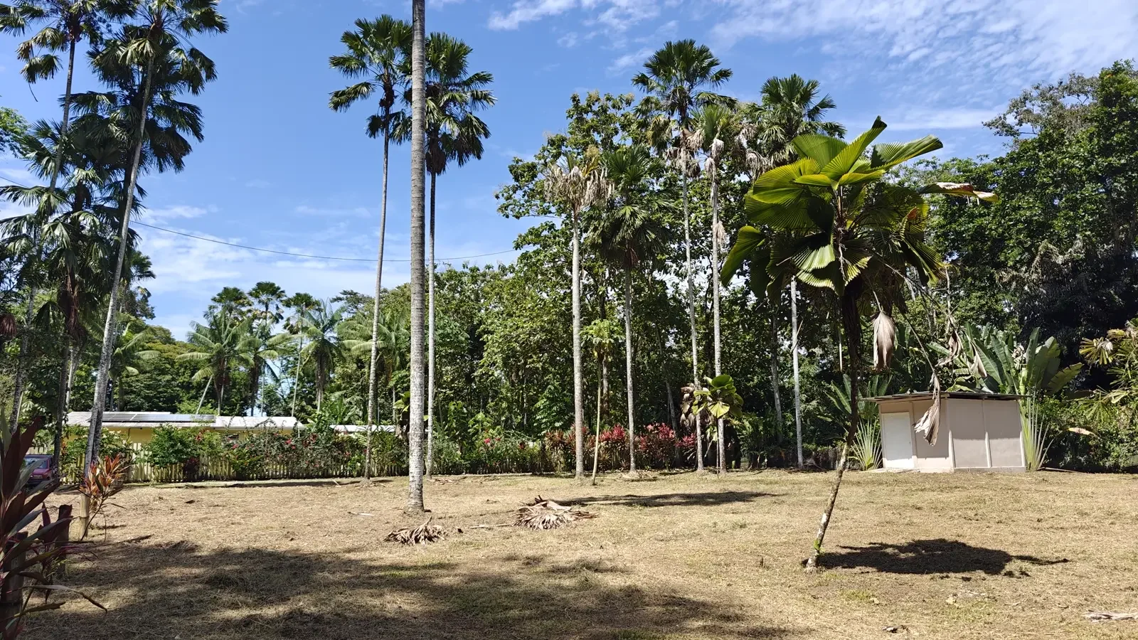 1547m-lot-in-cahuita (8).webp
