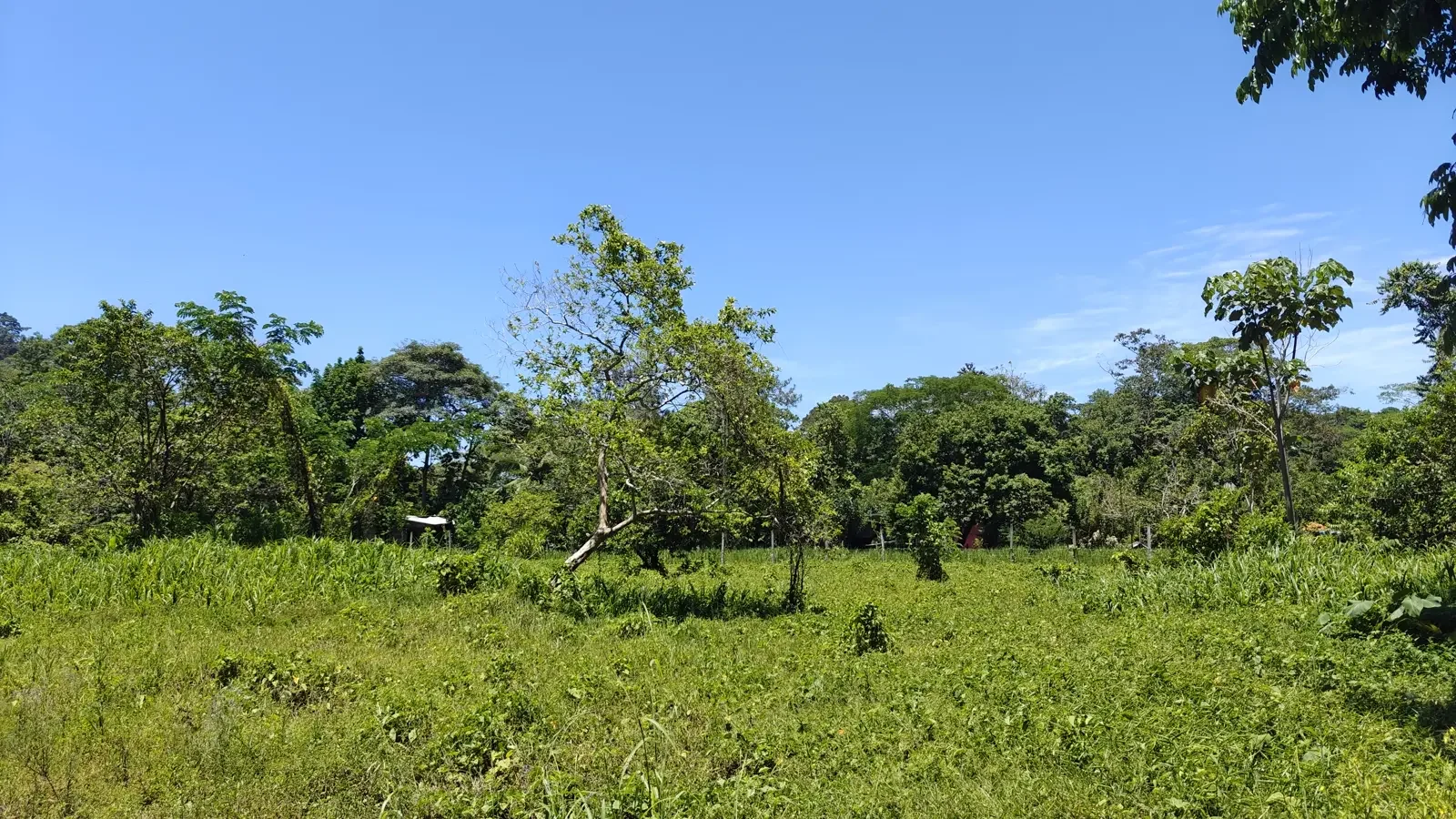 el-cortijo-community-hone-creek (3).webp