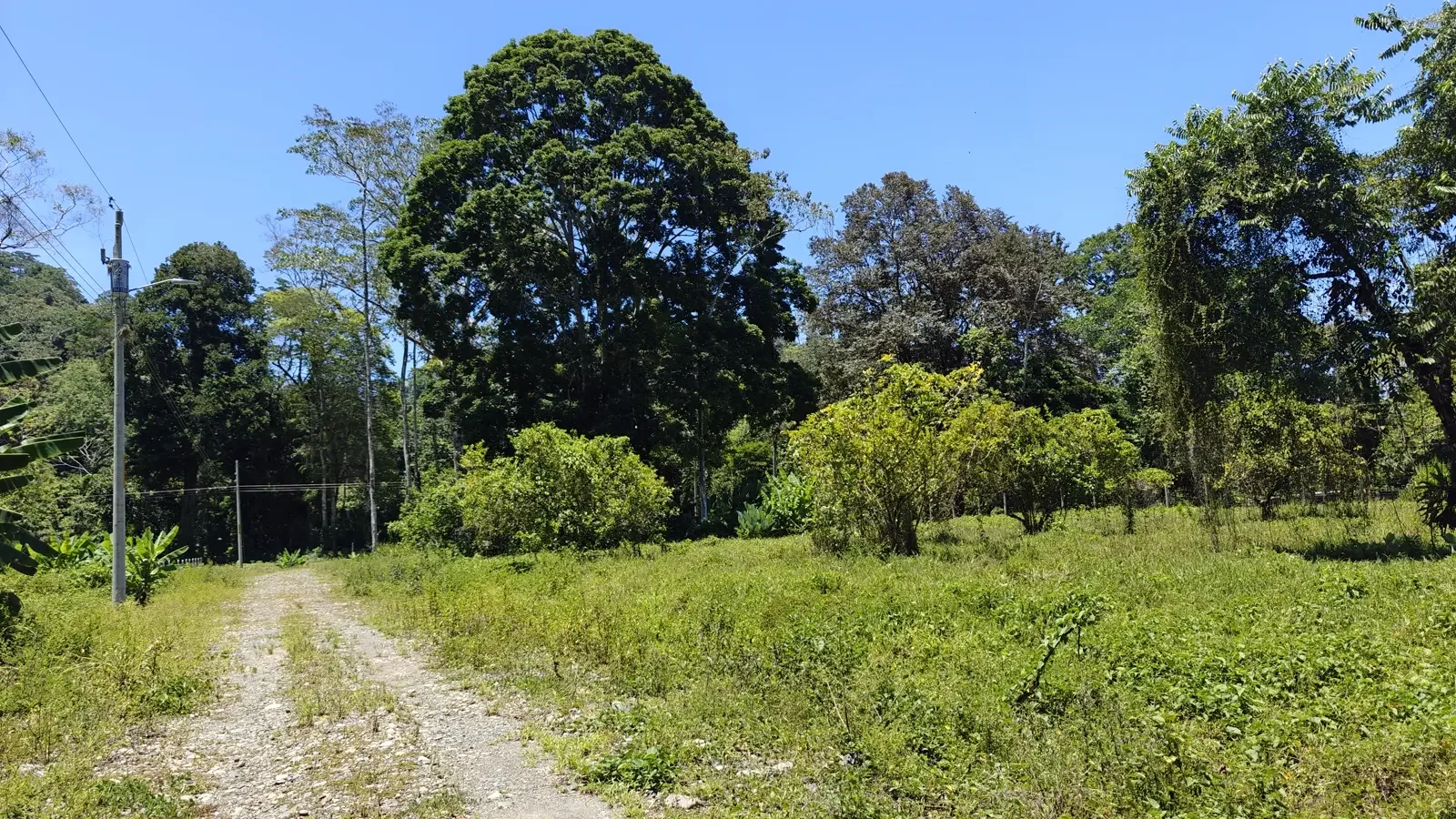 el-cortijo-community-hone-creek (6).webp