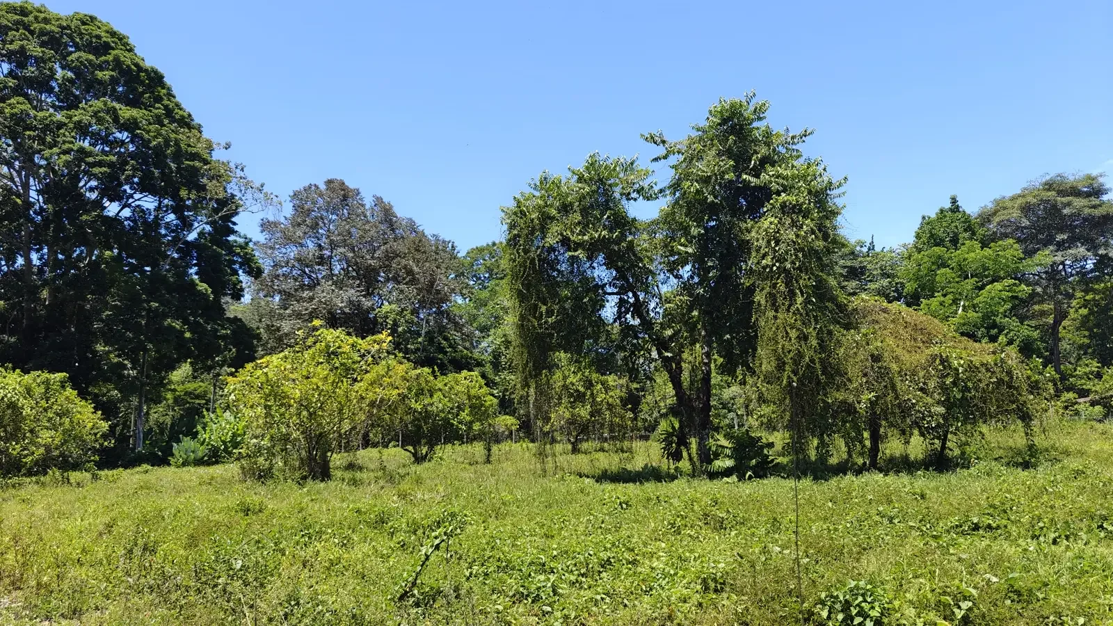 el-cortijo-community-hone-creek (7).webp