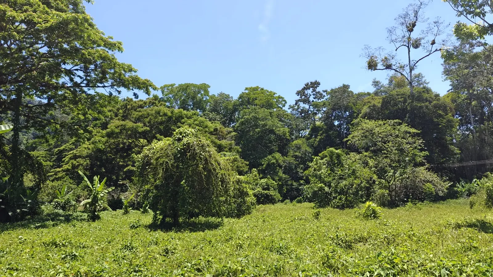 el-cortijo-community-hone-creek (8).webp