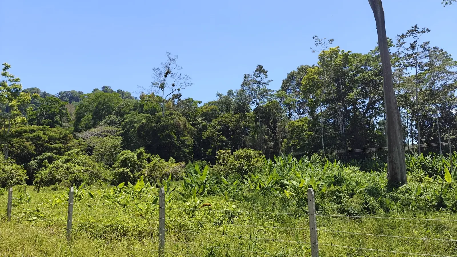 el-cortijo-community-hone-creek (9).webp