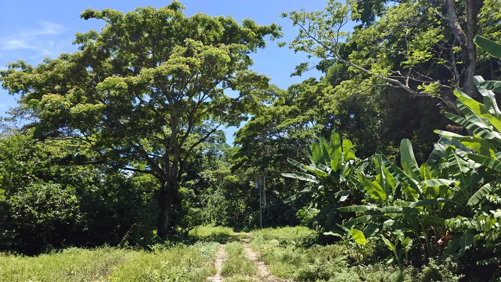 el-cortijo-community-hone-creek (10).webp