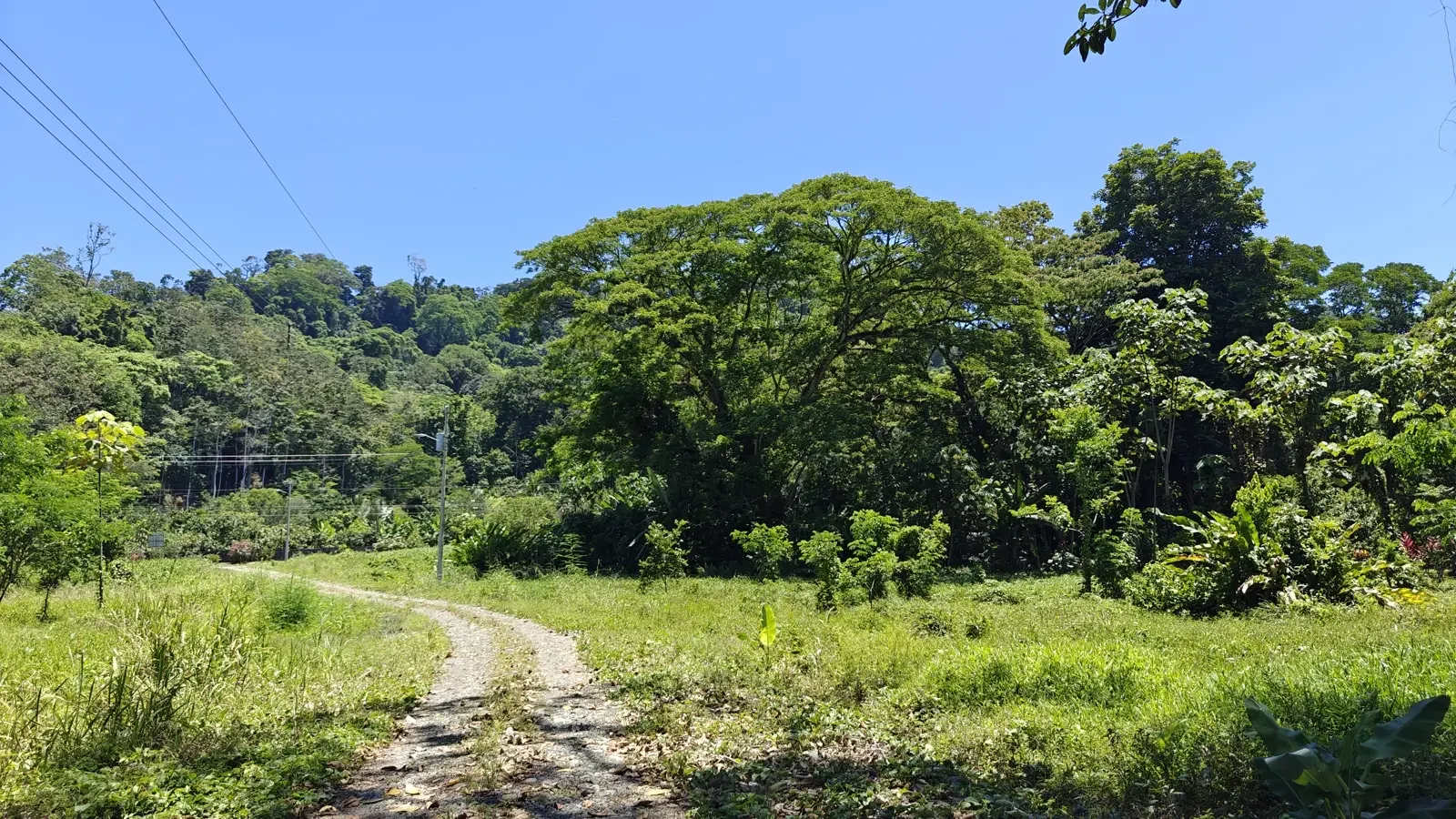 el-cortijo-community-hone-creek (11).webp