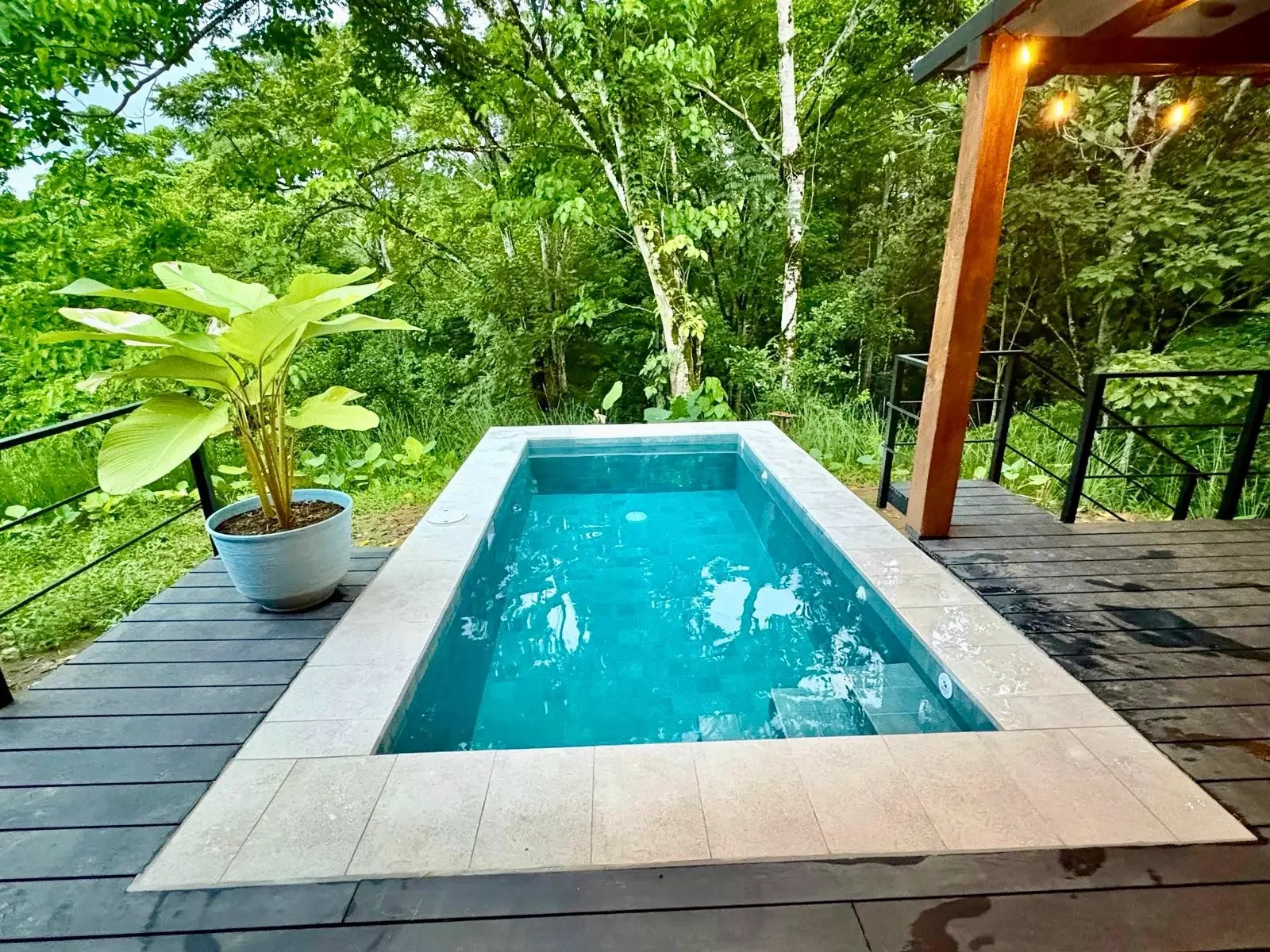 modern-luxury-meets-jungle-serenity (4).webp