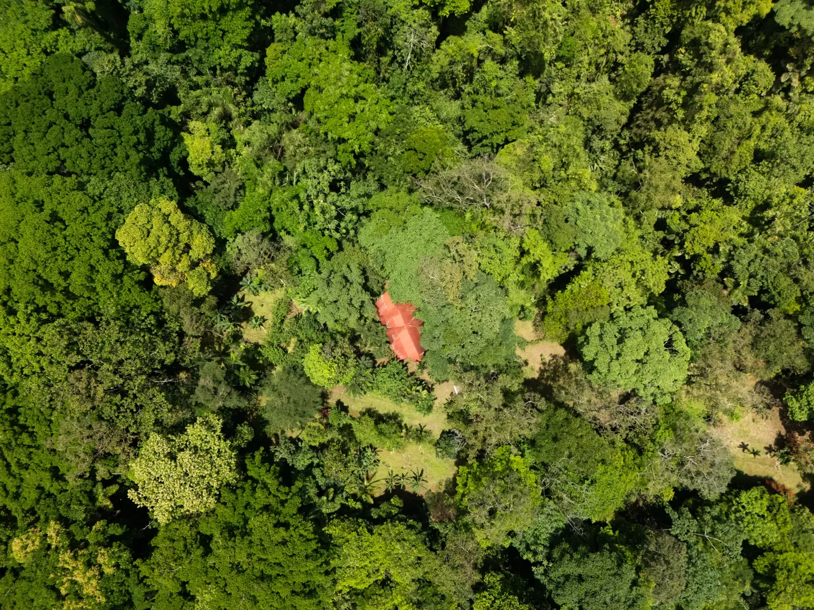 private-jungle-chalet-hone-creek (2).webp