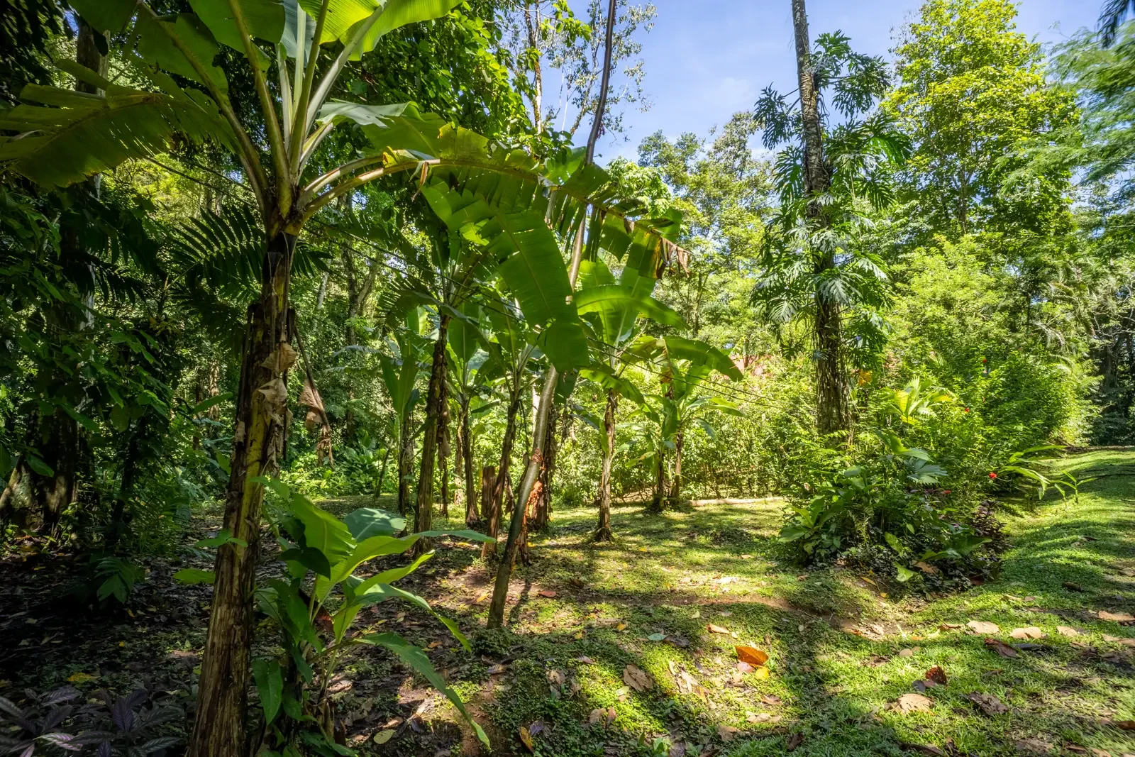 private-jungle-chalet-hone-creek (8).webp