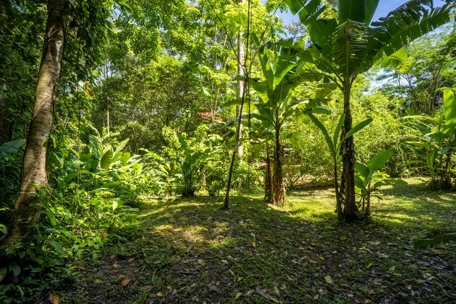 private-jungle-chalet-hone-creek (9).webp