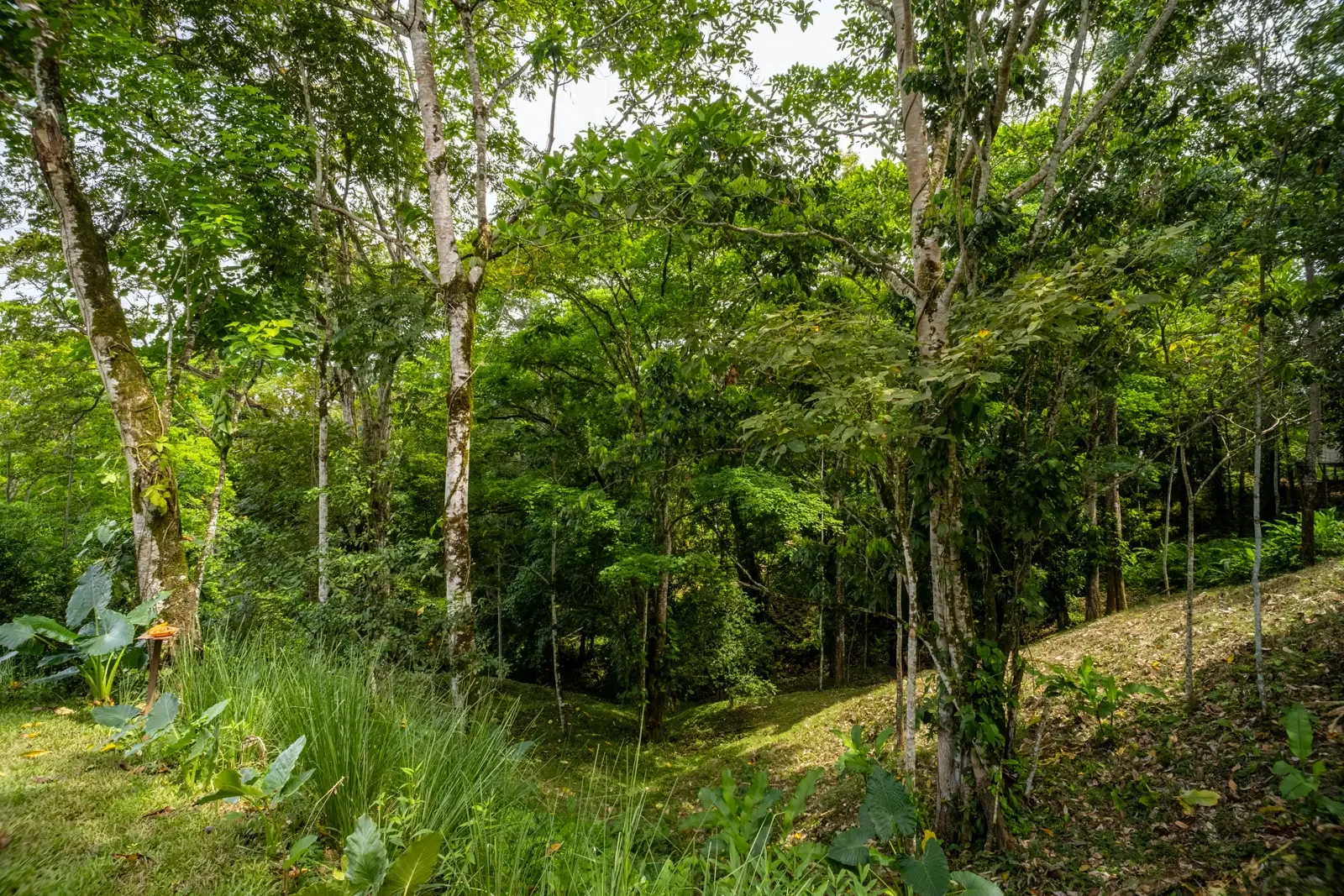 luxury-jungle-home-punta-uva-costa-rica (34).webp