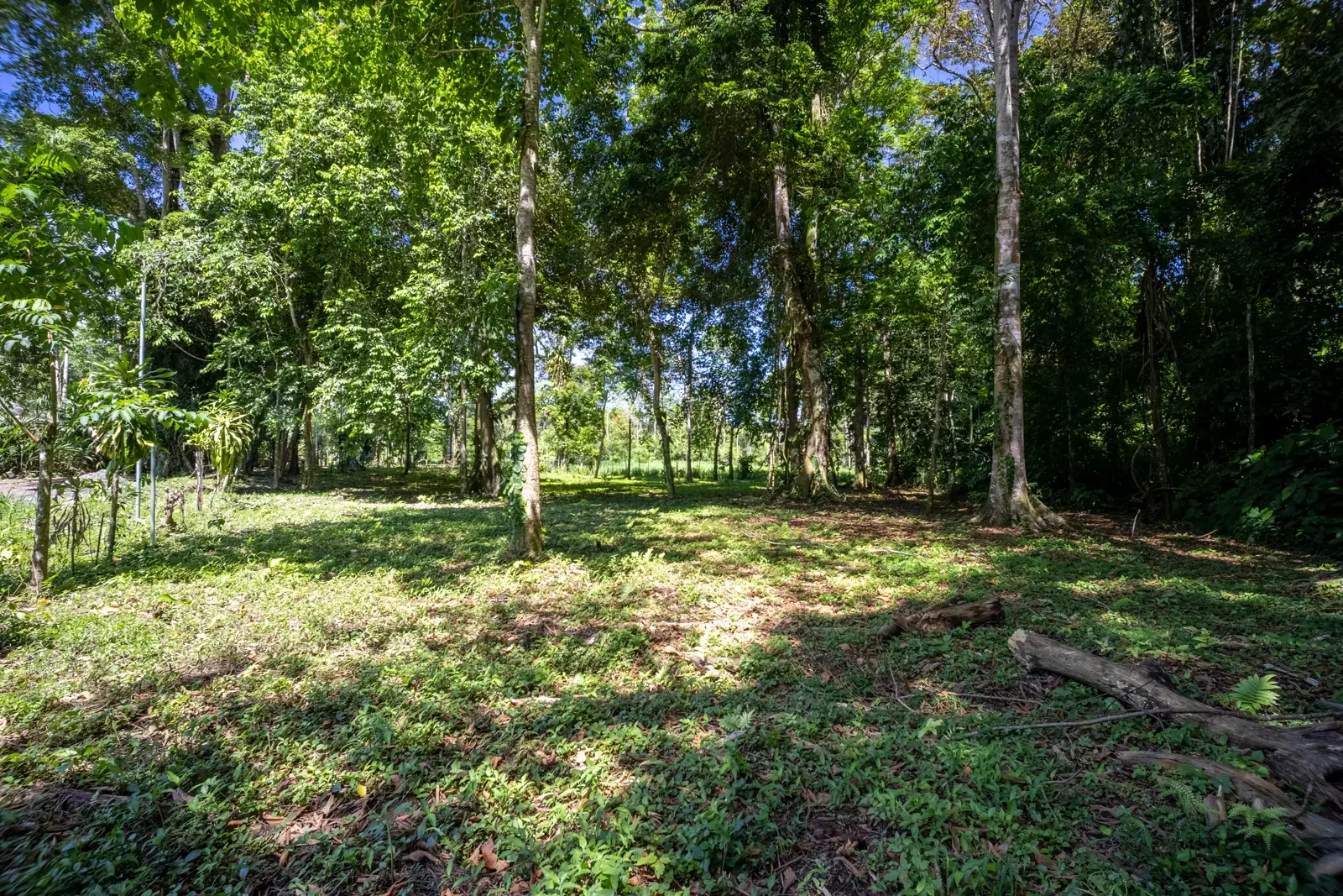 IMG_5656-HDR.webp