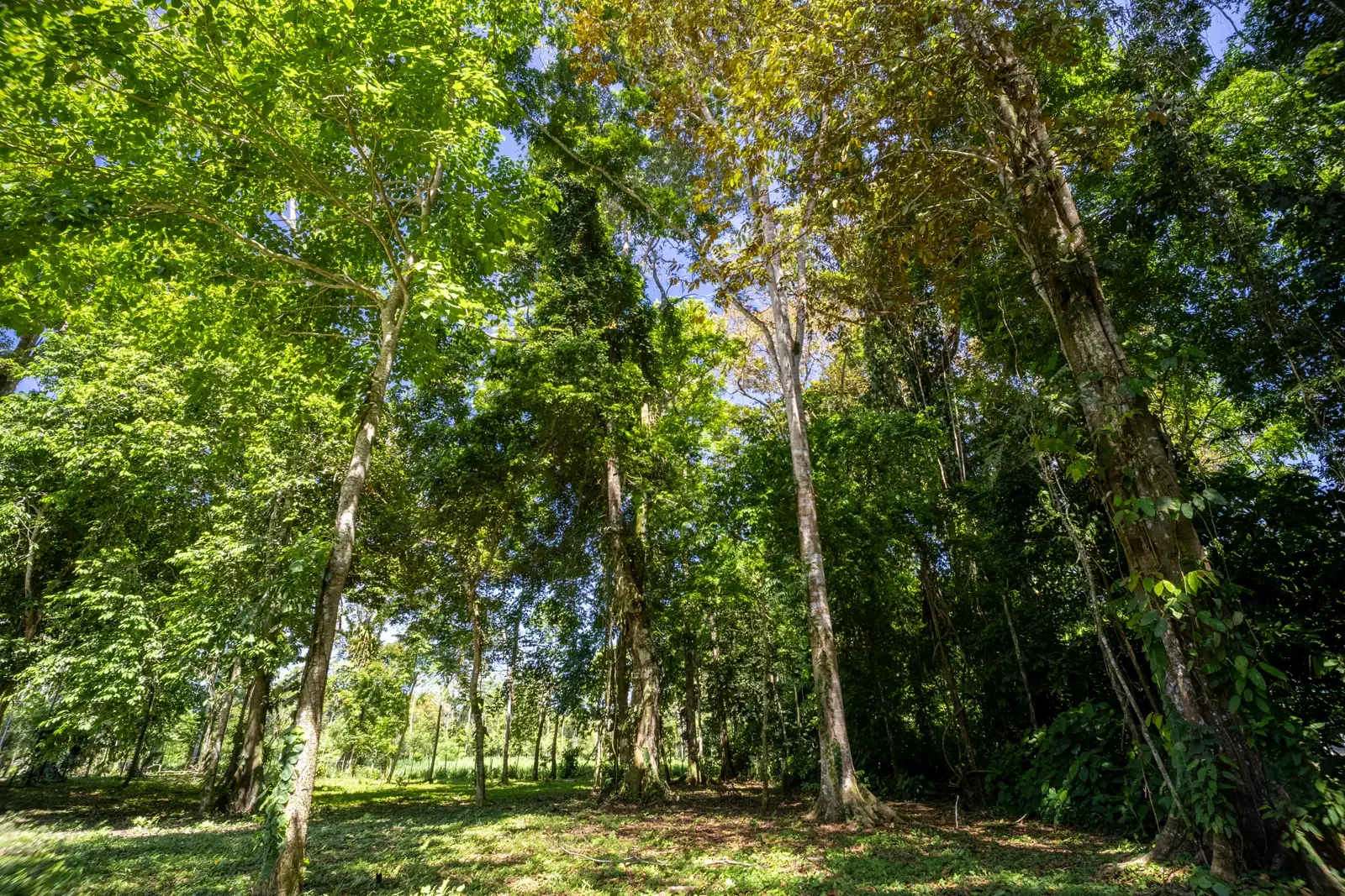 IMG_5665-HDR.webp
