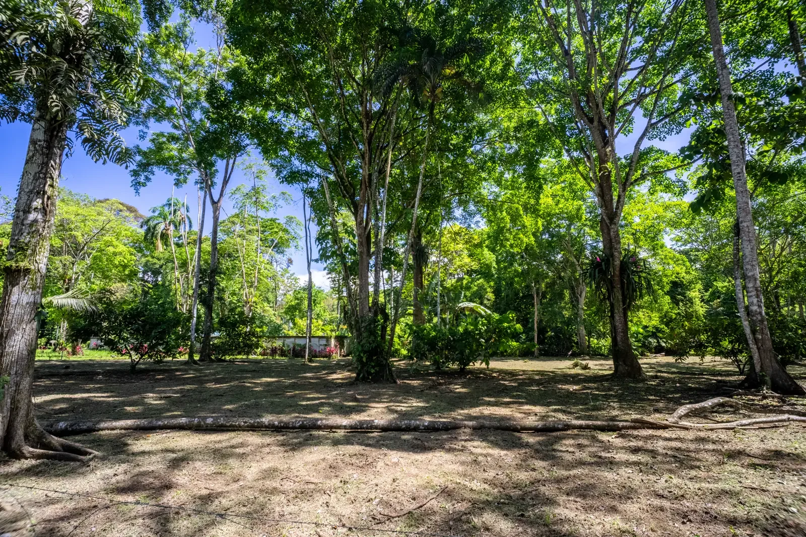 IMG_5702-HDR.webp