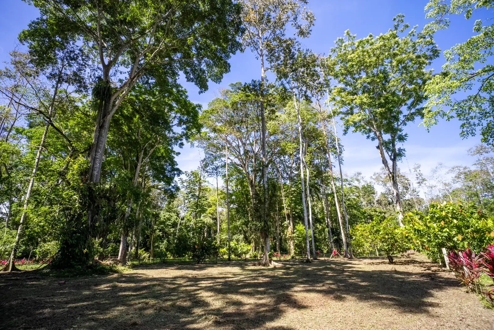 IMG_5756-HDR.webp