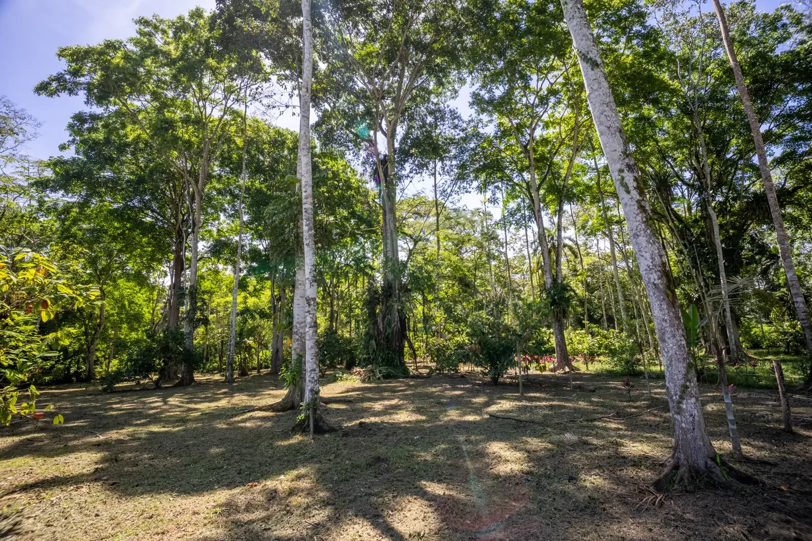IMG_5762-HDR.webp
