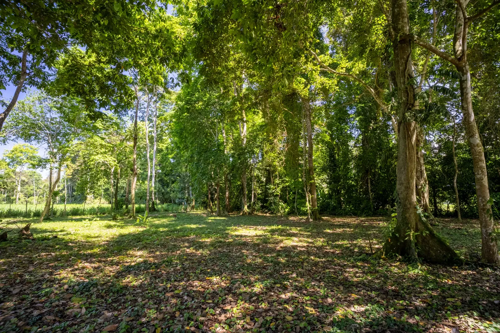 $134,220 - Costa Verde Lot 5 - 2,237m² Creekside Titled Lot Near Playa Grande, Cahuita