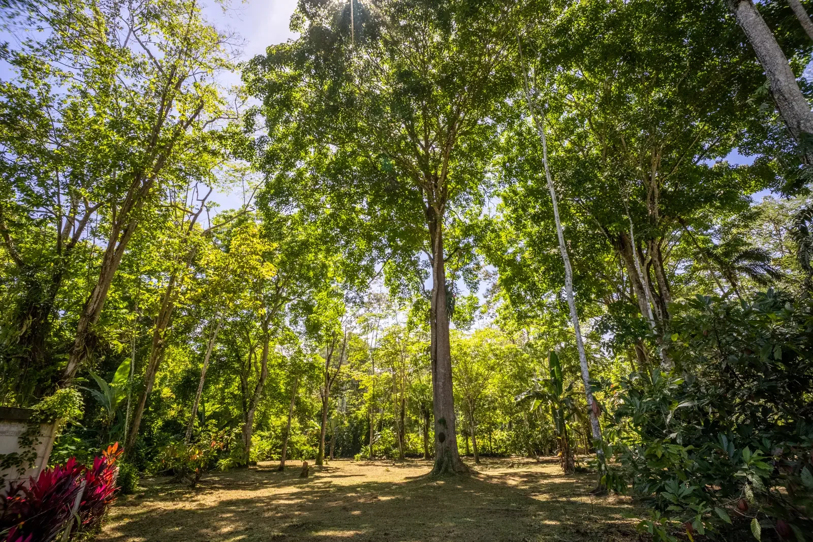 $273,690 - Costa Verde Lot 2 - Titled 6,082m² Creekfront Lot Near Playa Grande Beach, Cahuita