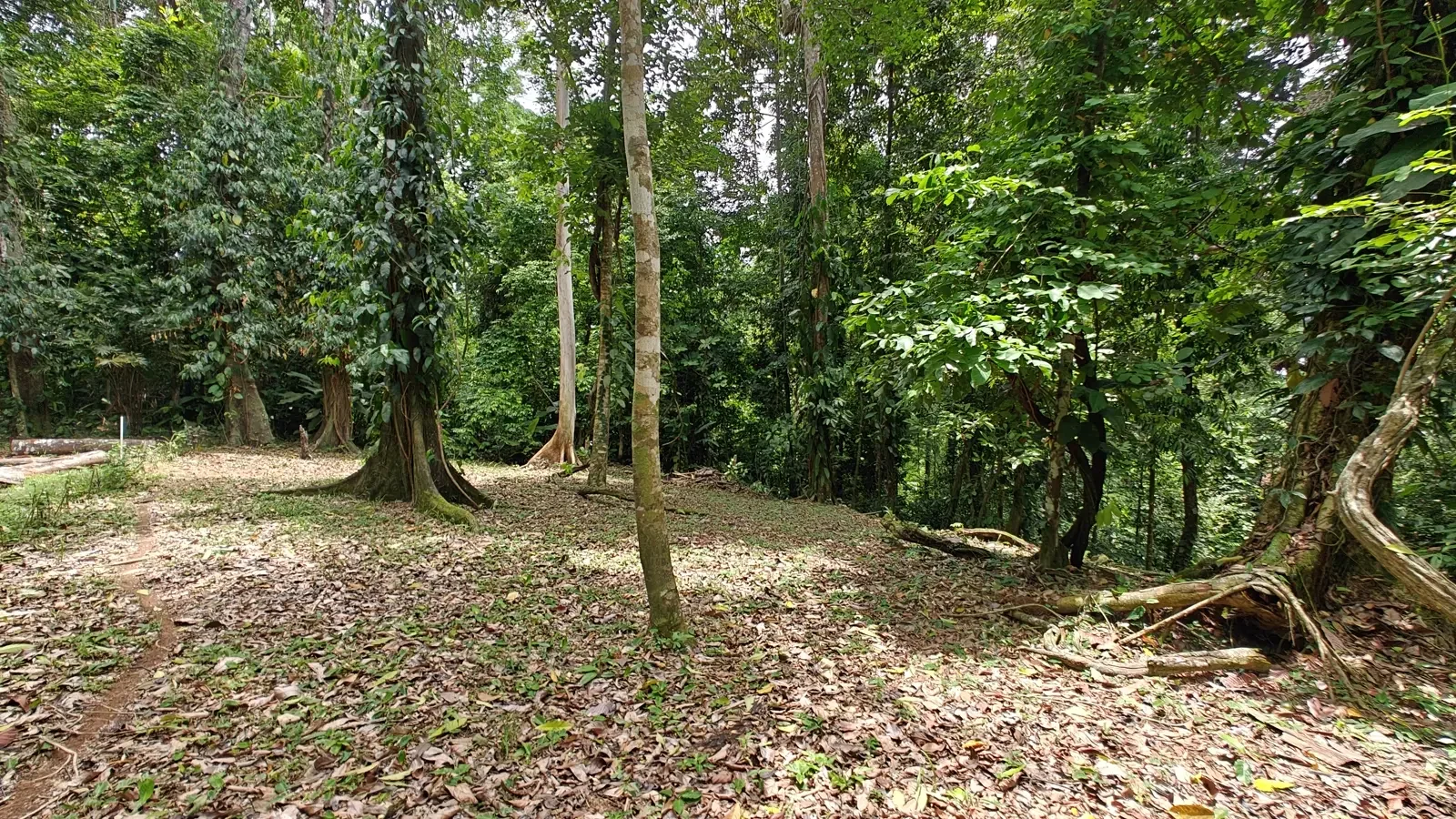 1971_Lot_Punta_Uva_Hills (10).webp