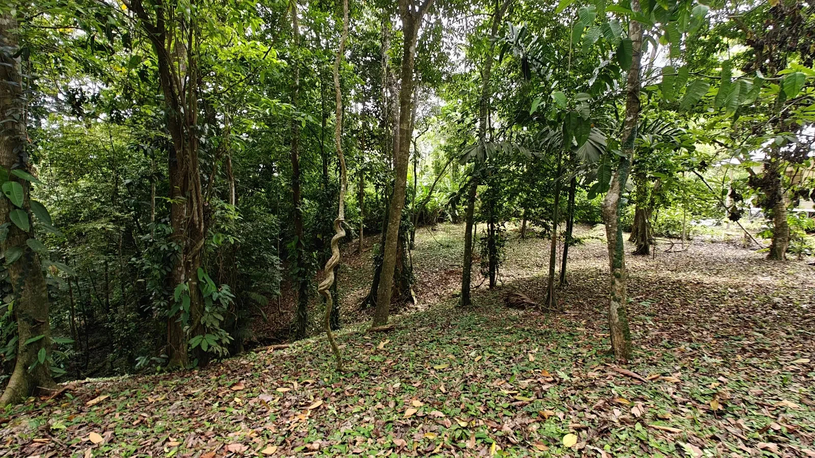 1971_Lot_Punta_Uva_Hills (9).webp