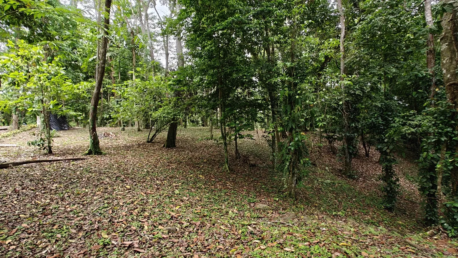 1971_Lot_Punta_Uva_Hills (8).webp