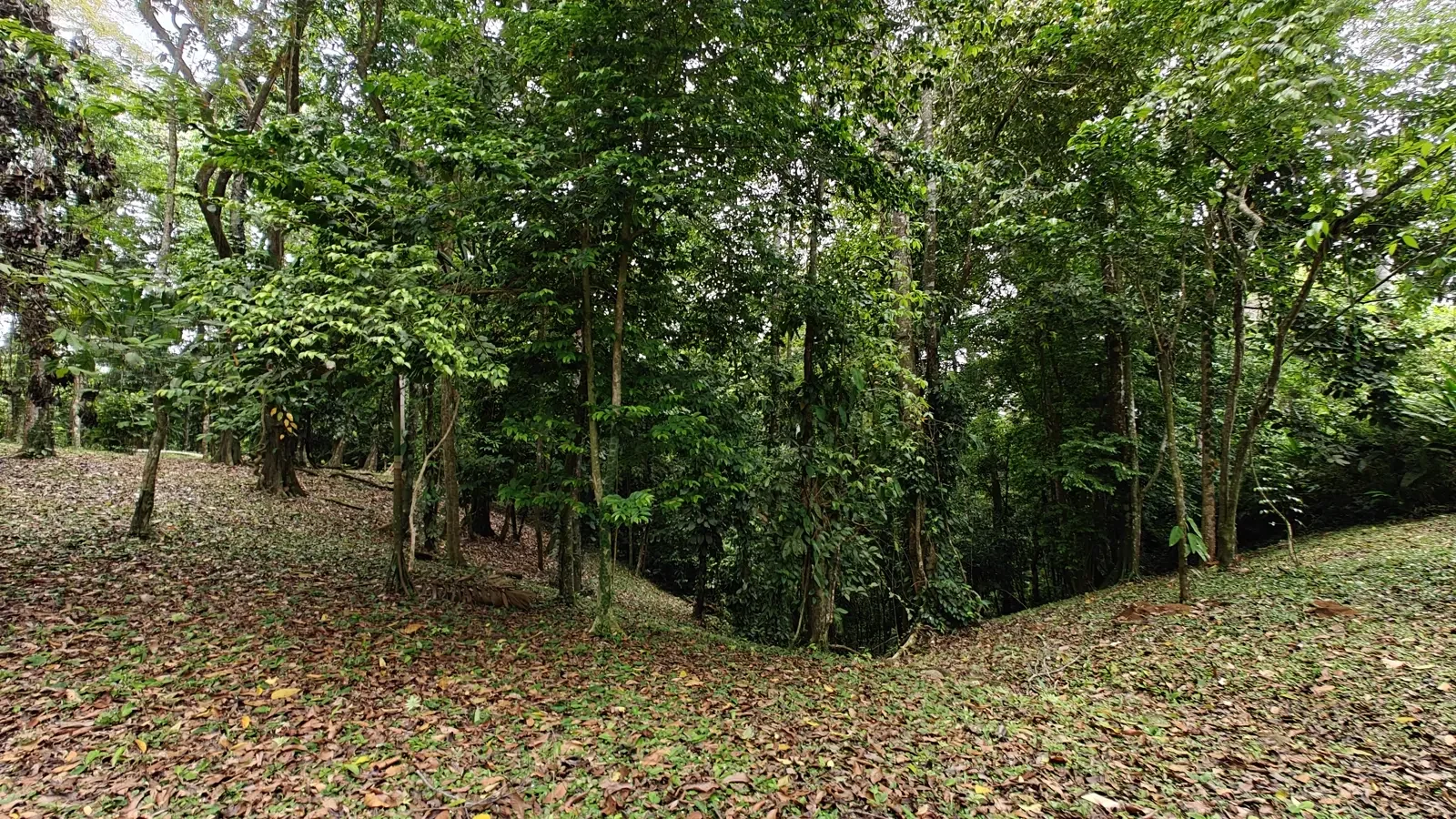 1971_Lot_Punta_Uva_Hills (7).webp