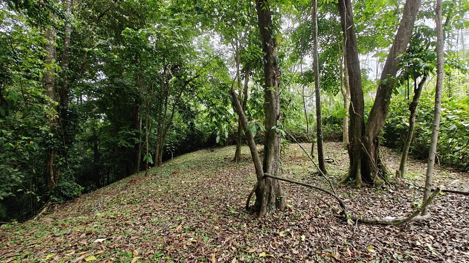 1971_Lot_Punta_Uva_Hills (6).webp