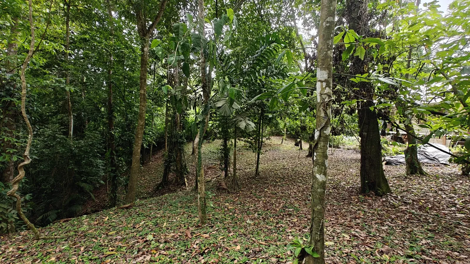 1971_Lot_Punta_Uva_Hills (4).webp