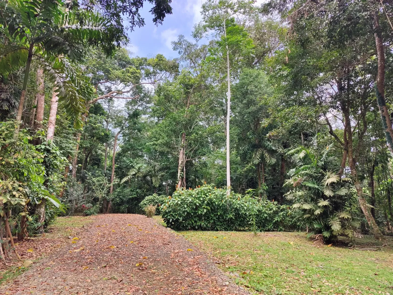 1971_Lot_Punta_Uva_Hills (11).webp