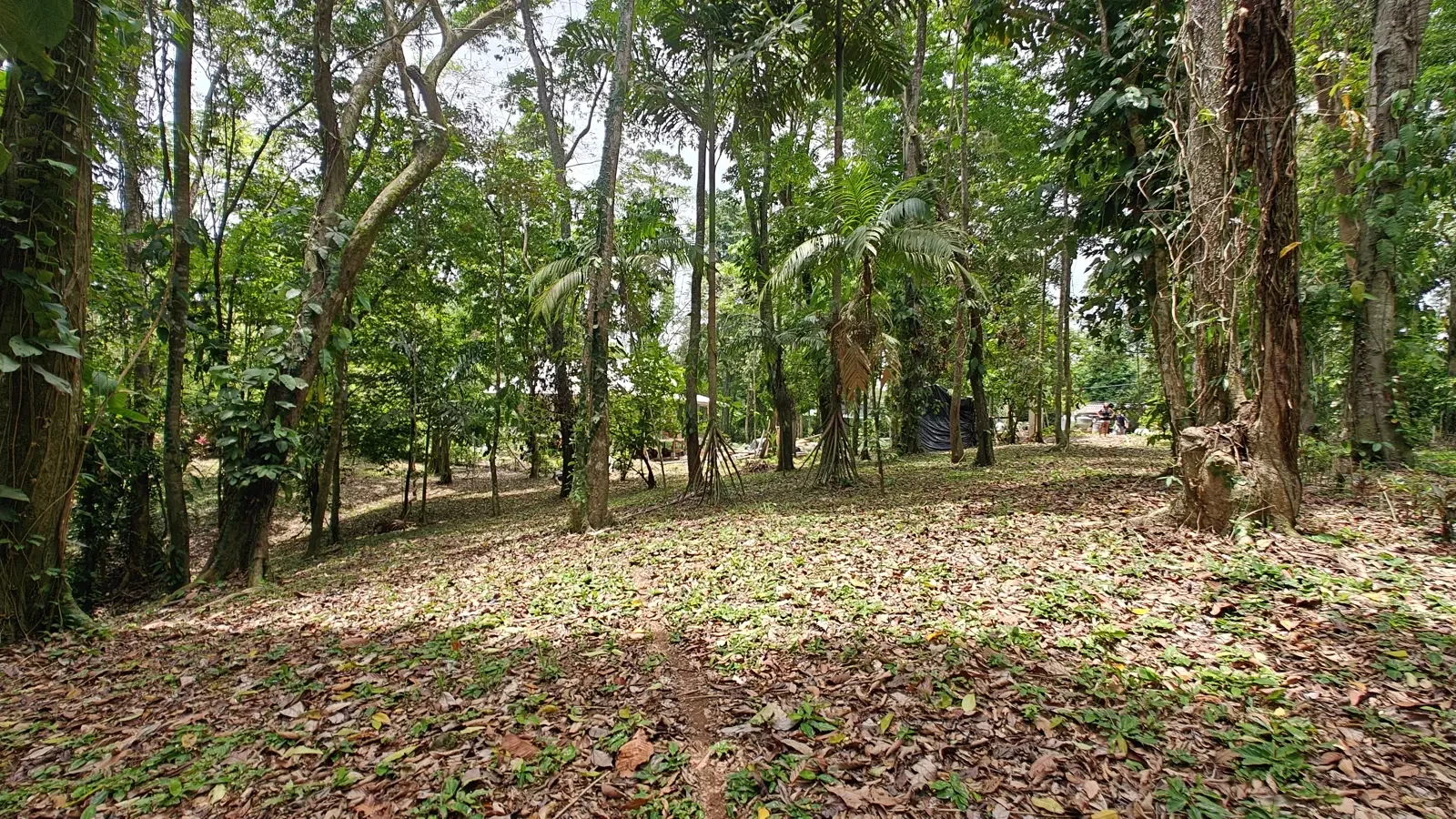 $247,500 - 1,979m² Titled Lot - Last Available Lot in Punta Uva Hills - Near Punta Uva Beach 