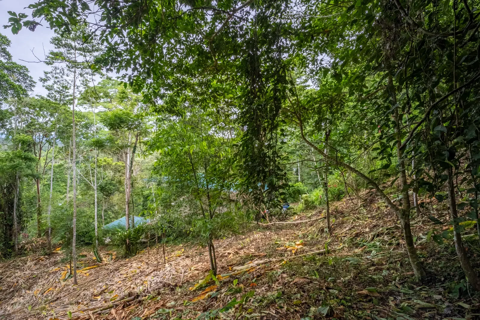 5500sqm Lot with Mountain View in Iriria (2).webp