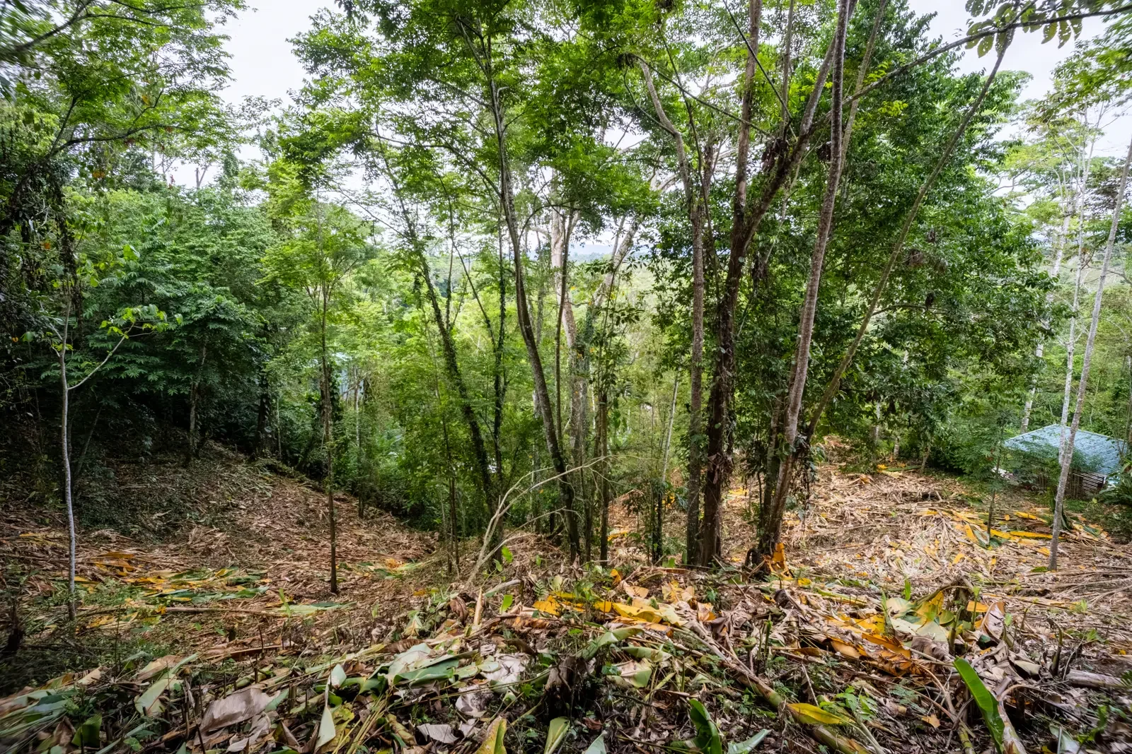 5500sqm Lot with Mountain View in Iriria (3).webp